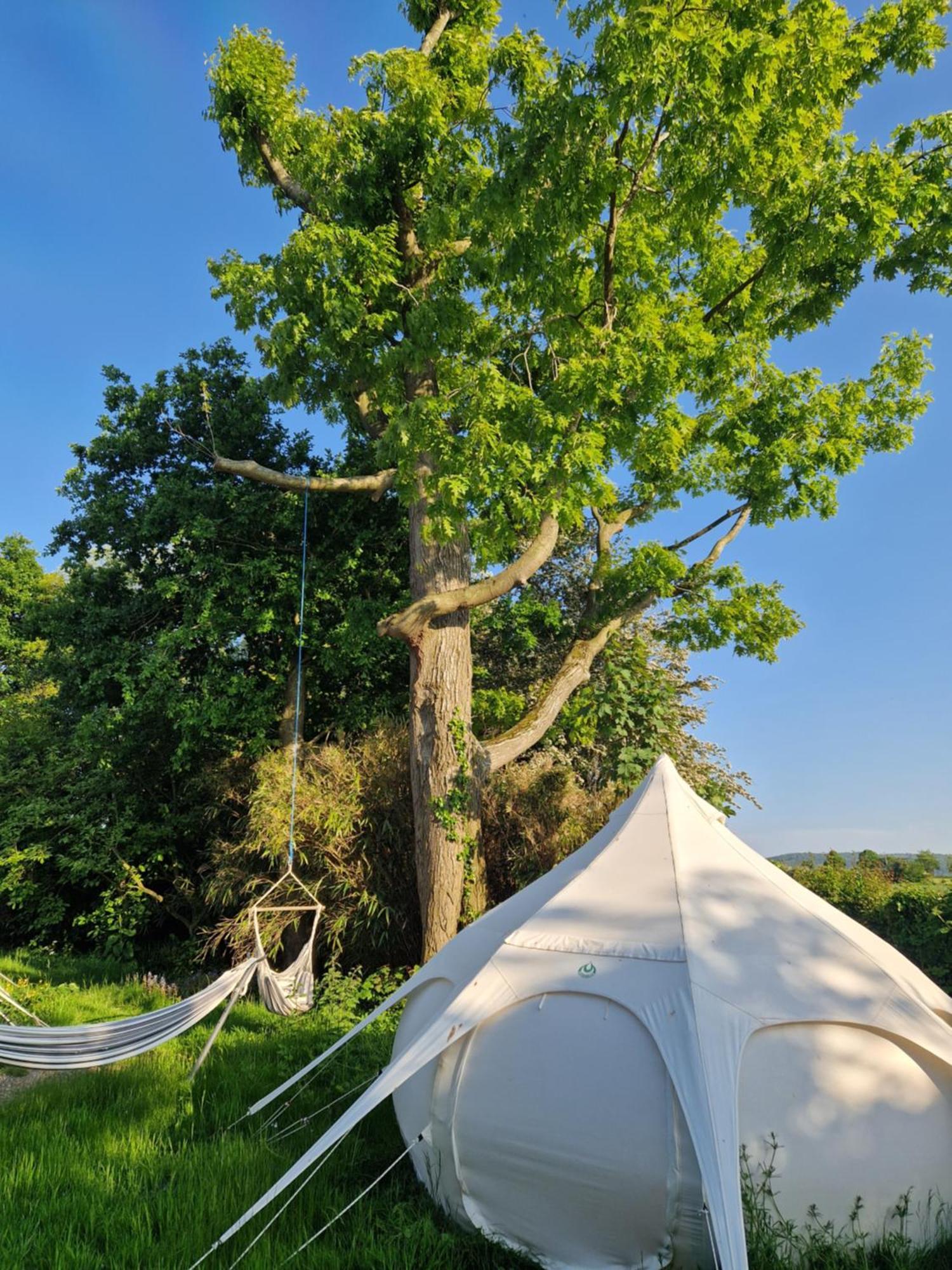 Stargazer Glamping Uk Andromeda 6 People Hotel Ross-on-Wye Buitenkant foto