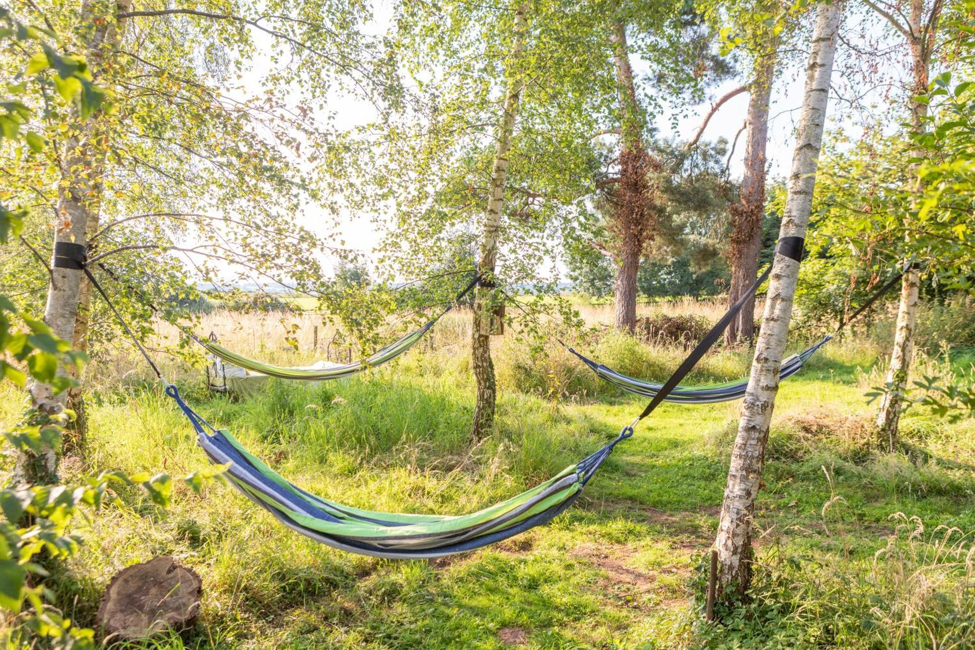 Stargazer Glamping Uk Andromeda 6 People Hotel Ross-on-Wye Buitenkant foto