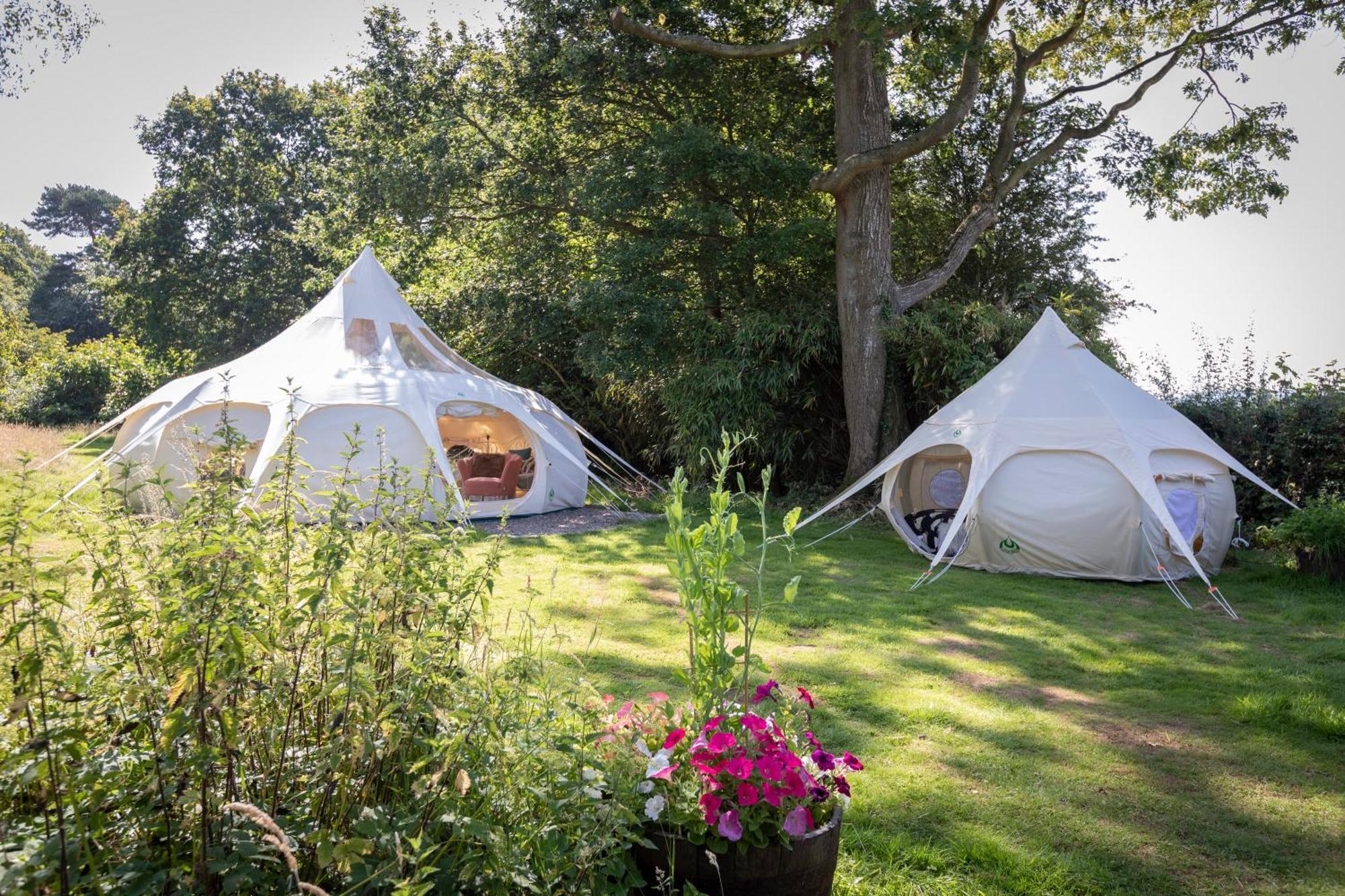 Stargazer Glamping Uk Andromeda 6 People Hotel Ross-on-Wye Buitenkant foto